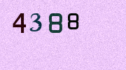 Visual Confirmation Security Code