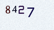 Visual Confirmation Security Code