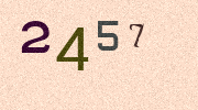 Visual Confirmation Security Code