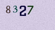 Visual Confirmation Security Code