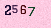 Visual Confirmation Security Code
