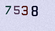 Visual Confirmation Security Code