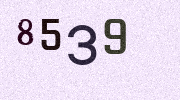 Visual Confirmation Security Code