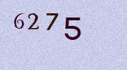 Visual Confirmation Security Code