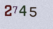 Visual Confirmation Security Code