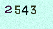 Visual Confirmation Security Code