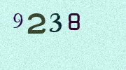 Visual Confirmation Security Code