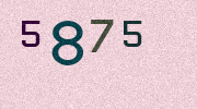 Visual Confirmation Security Code