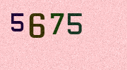Visual Confirmation Security Code