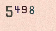 Visual Confirmation Security Code