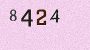 Visual Confirmation Security Code