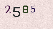 Visual Confirmation Security Code