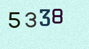 Visual Confirmation Security Code