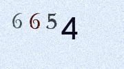 Visual Confirmation Security Code