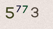 Visual Confirmation Security Code