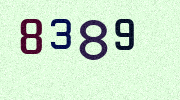 Visual Confirmation Security Code