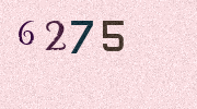 Visual Confirmation Security Code