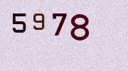 Visual Confirmation Security Code