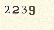 Visual Confirmation Security Code
