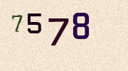 Visual Confirmation Security Code