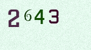 Visual Confirmation Security Code