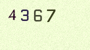 Visual Confirmation Security Code