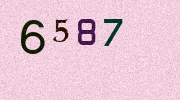 Visual Confirmation Security Code