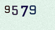 Visual Confirmation Security Code