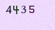 Visual Confirmation Security Code