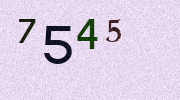 Visual Confirmation Security Code