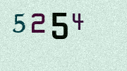 Visual Confirmation Security Code