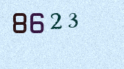 Visual Confirmation Security Code