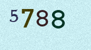 Visual Confirmation Security Code