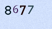 Visual Confirmation Security Code