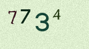 Visual Confirmation Security Code