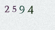 Visual Confirmation Security Code