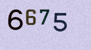 Visual Confirmation Security Code