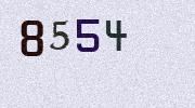 Visual Confirmation Security Code