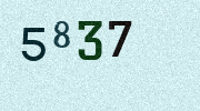 Visual Confirmation Security Code