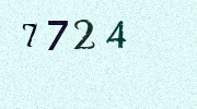 Visual Confirmation Security Code