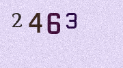 Visual Confirmation Security Code