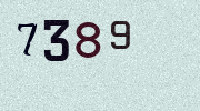 Visual Confirmation Security Code