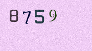 Visual Confirmation Security Code