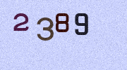 Visual Confirmation Security Code