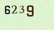 Visual Confirmation Security Code