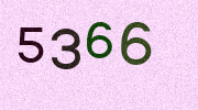 Visual Confirmation Security Code