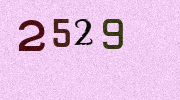 Visual Confirmation Security Code
