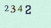 Visual Confirmation Security Code