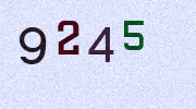 Visual Confirmation Security Code