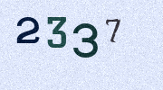 Visual Confirmation Security Code